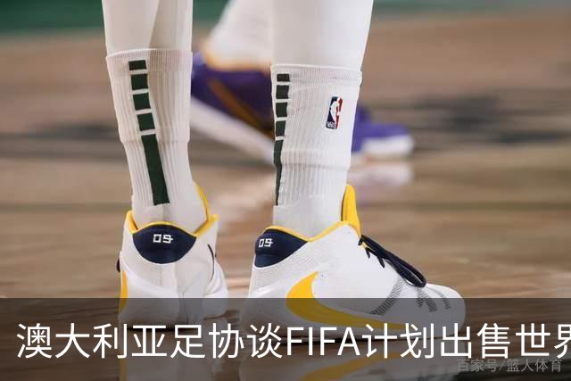 澳大利亚足协谈FIFA计划出售世界杯版权：要求提供更多信息